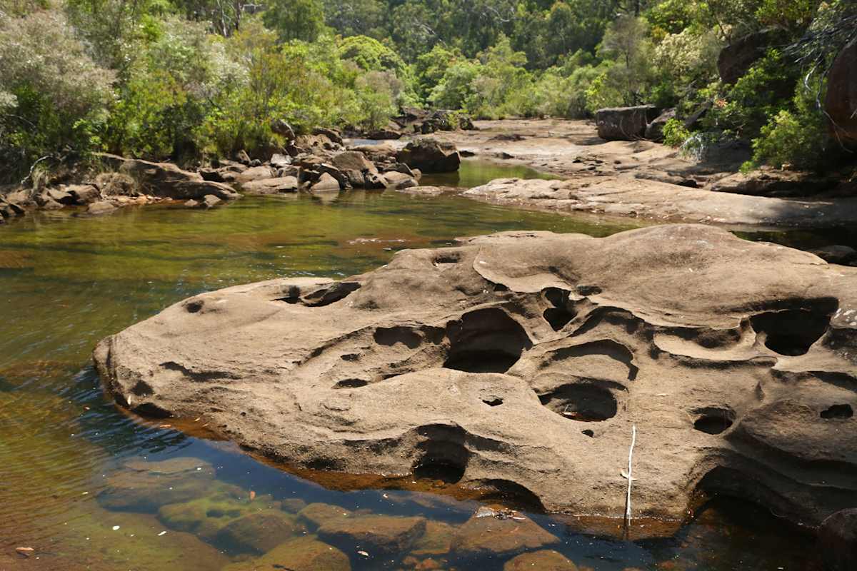 Dharawal National Park - Gilead