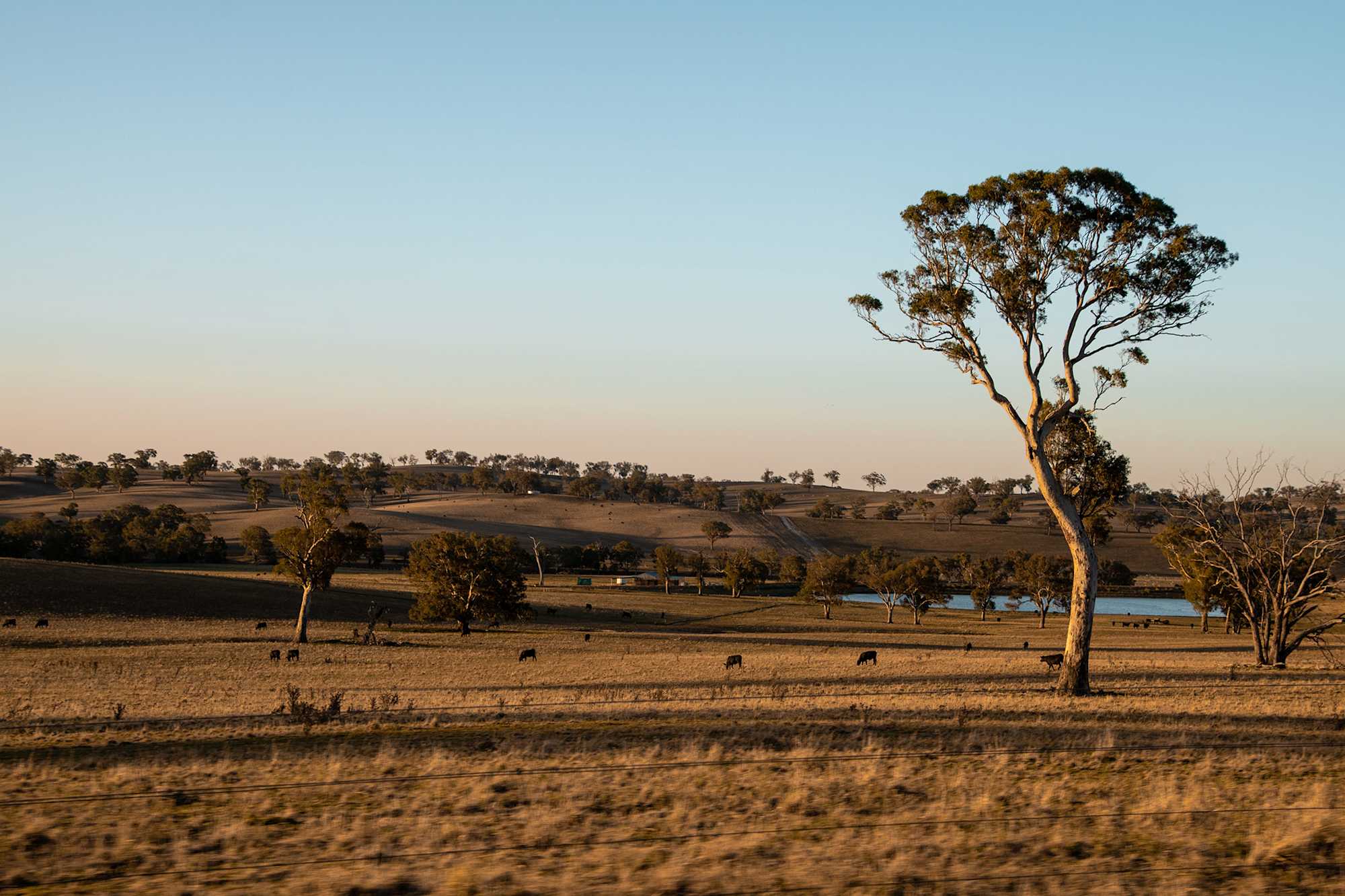 Lochinvar Downs Estate Highlight