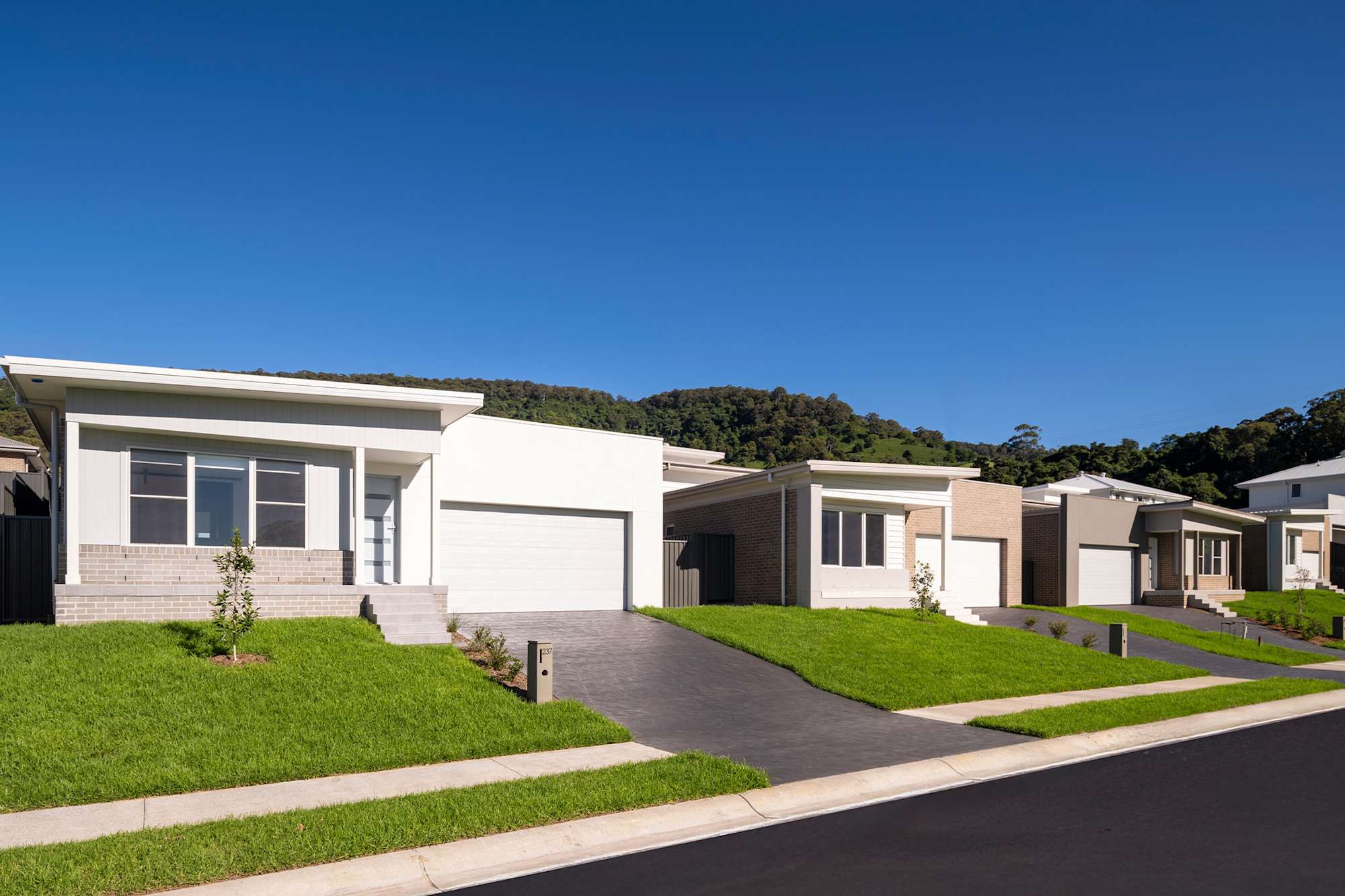 Mount Terry Estate Highlight