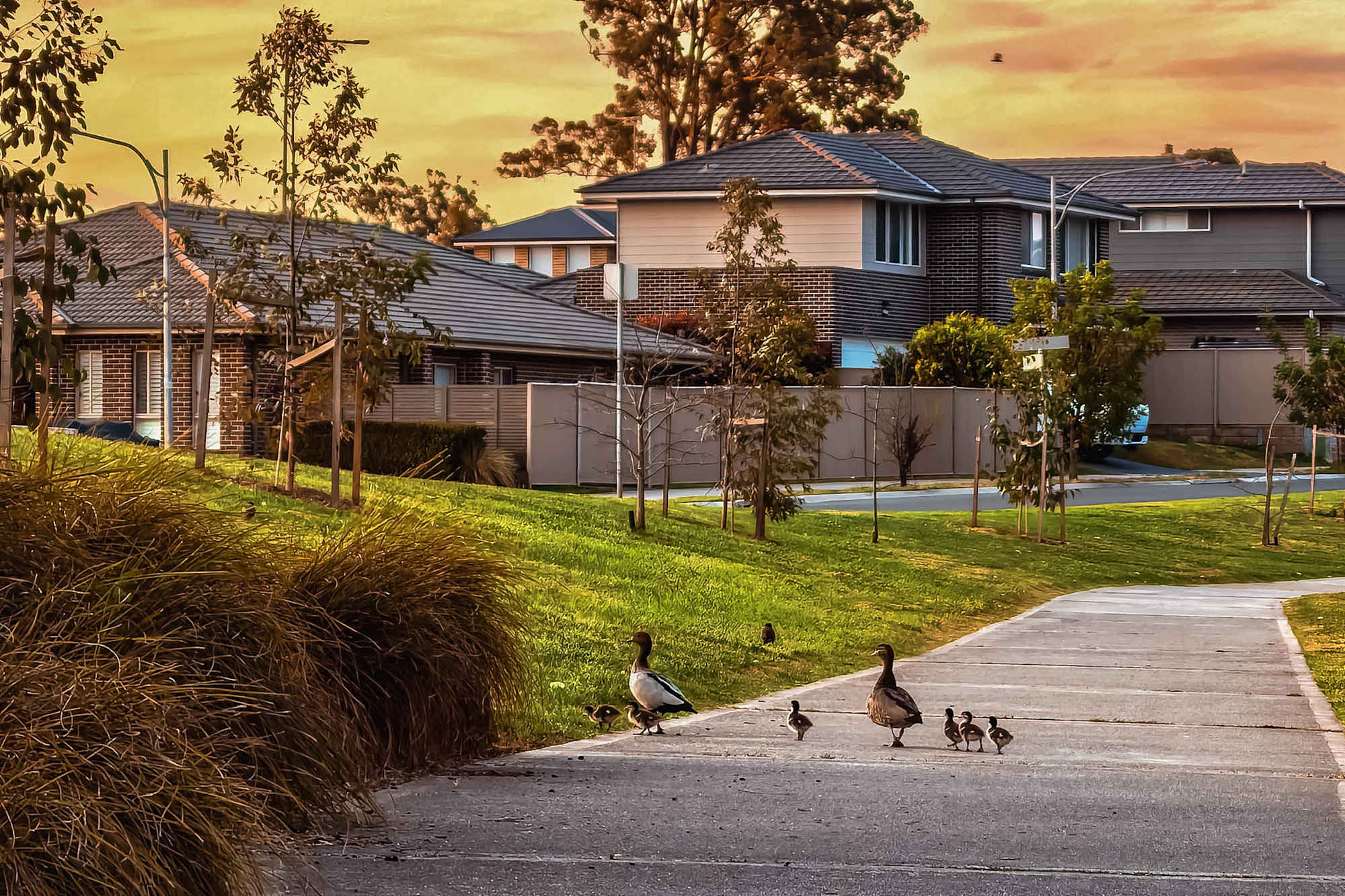image upload c_limit,f_auto,w_2000 v1787190724 blogs figtree-hill-estate-highlight ch-2026-blog-figtree-hill-gilead-estate-highlight-1