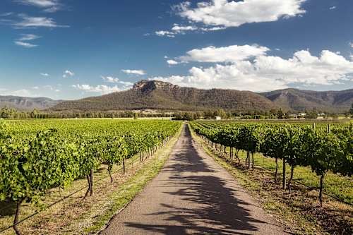 image upload c_limit,f_auto,w_500 v1787551579 content-images houses-for-sale-newcastle-hunter-valley ch-landing-page-for-sale-newcastle-hunter-valley- alt