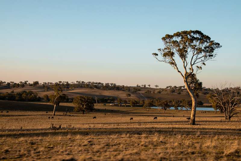 Lochinvar Downs Estate Highlight
