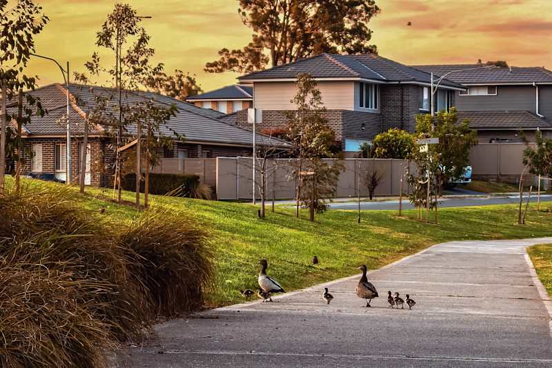 image upload c_limit,f_auto,w_800 v1787190724 blogs figtree-hill-estate-highlight ch-2026-blog-figtree-hill-gilead-estate-highlight-1